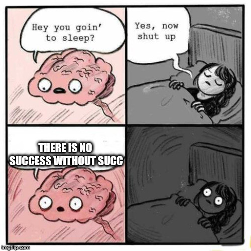 Hey you going to sleep? | THERE IS NO SUCCESS WITHOUT SUCC | image tagged in hey you going to sleep | made w/ Imgflip meme maker