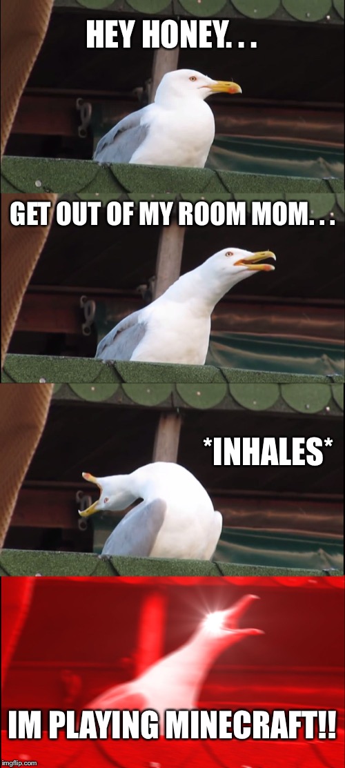 Inhaling Seagull | HEY HONEY. . . GET OUT OF MY ROOM MOM. . . *INHALES*; IM PLAYING MINECRAFT!! | image tagged in memes,inhaling seagull,funny memes,funny | made w/ Imgflip meme maker