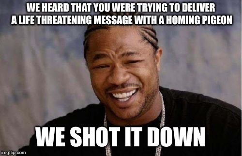 Yo Dawg Heard You Meme | WE HEARD THAT YOU WERE TRYING TO DELIVER A LIFE THREATENING MESSAGE WITH A HOMING PIGEON; WE SHOT IT DOWN | image tagged in memes,yo dawg heard you | made w/ Imgflip meme maker