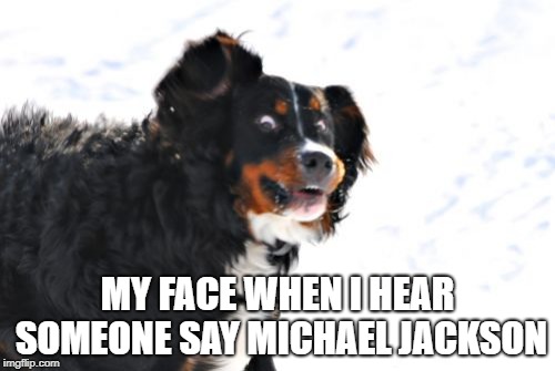Crazy Dawg Meme |  MY FACE WHEN I HEAR SOMEONE SAY MICHAEL JACKSON | image tagged in memes,crazy dawg | made w/ Imgflip meme maker