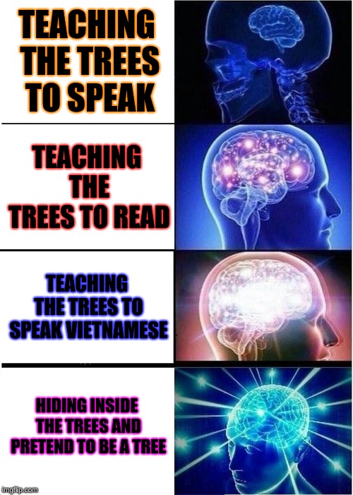 THEIR IN THE TREES! | TEACHING THE TREES TO SPEAK; TEACHING THE TREES TO READ; TEACHING THE TREES TO SPEAK VIETNAMESE; HIDING INSIDE THE TREES AND PRETEND TO BE A TREE | image tagged in memes,expanding brain | made w/ Imgflip meme maker
