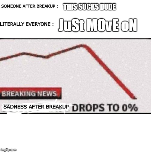 Suicide Rate Drops to Zero | SOMEONE AFTER BREAKUP :; THIS SUCKS DUDE; JuSt MOvE oN; LITERALLY EVERYONE :; SADNESS AFTER BREAKUP | image tagged in suicide rate drops to zero | made w/ Imgflip meme maker