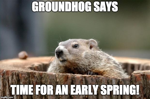 Groundhog | GROUNDHOG SAYS; TIME FOR AN EARLY SPRING! | image tagged in groundhog | made w/ Imgflip meme maker
