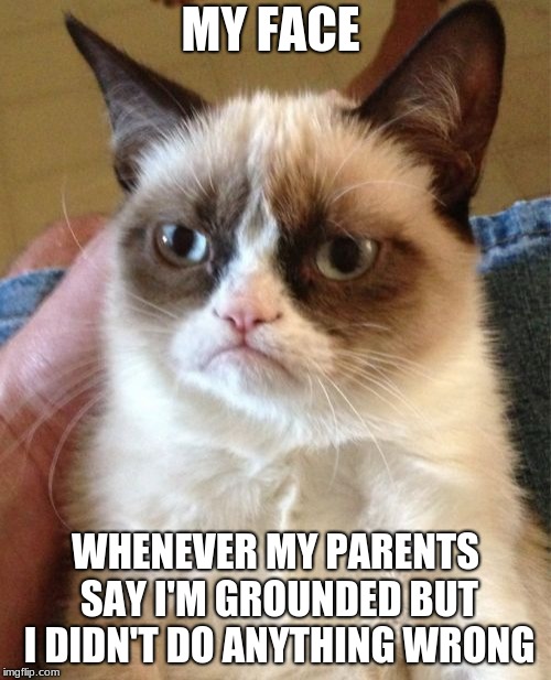 Grumpy Cat | MY FACE; WHENEVER MY PARENTS SAY I'M GROUNDED BUT I DIDN'T DO ANYTHING WRONG | image tagged in memes,grumpy cat | made w/ Imgflip meme maker