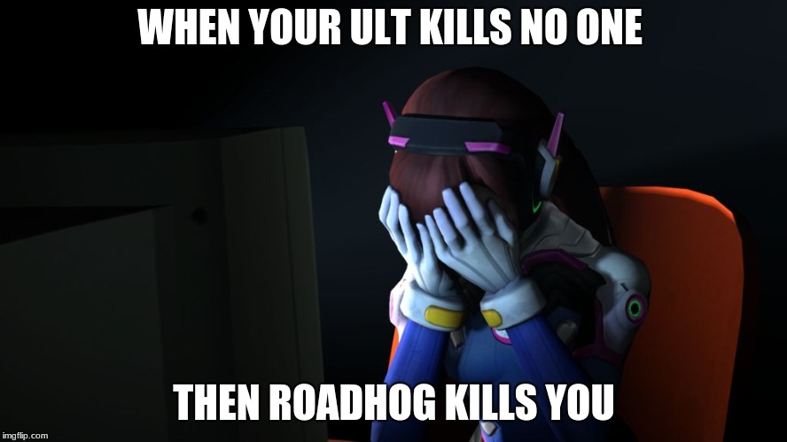 sad dva | WHEN YOUR ULT KILLS NO ONE; THEN ROADHOG KILLS YOU | image tagged in sad dva | made w/ Imgflip meme maker