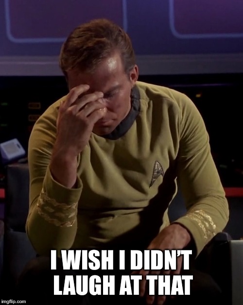 Kirk face palm | I WISH I DIDN’T LAUGH AT THAT | image tagged in kirk face palm | made w/ Imgflip meme maker