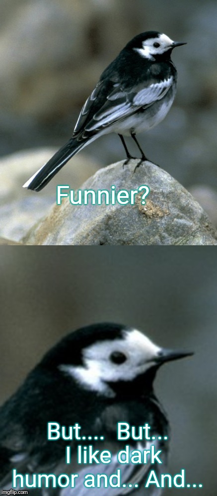 Clinically Depressed Pied Wagtail | Funnier? But....  But...  I like dark humor and... And... | image tagged in clinically depressed pied wagtail | made w/ Imgflip meme maker