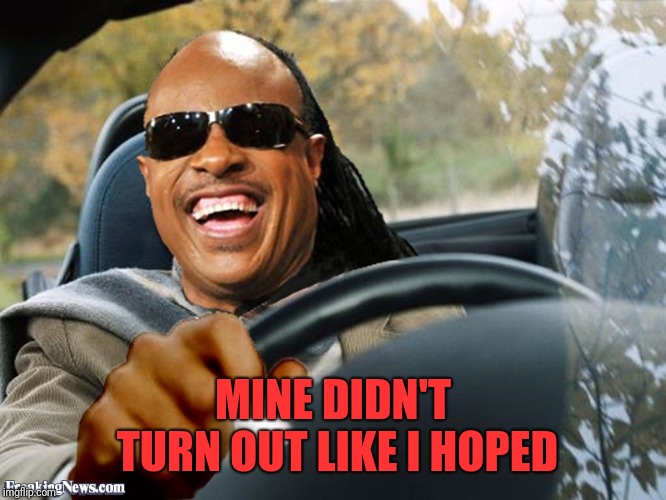 Stevie Wonder Driving | MINE DIDN'T TURN OUT LIKE I HOPED | image tagged in stevie wonder driving | made w/ Imgflip meme maker