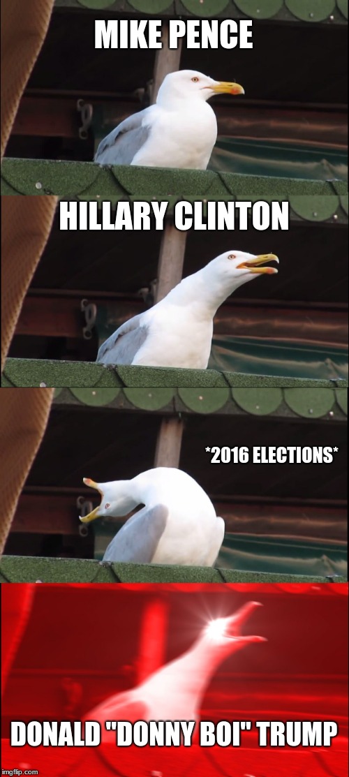 Inhaling Seagull Meme | MIKE PENCE; HILLARY CLINTON; *2016 ELECTIONS*; DONALD "DONNY BOI" TRUMP | image tagged in memes,inhaling seagull | made w/ Imgflip meme maker