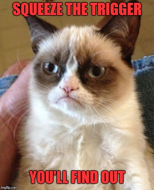 Grumpy Cat Meme | SQUEEZE THE TRIGGER YOU'LL FIND OUT | image tagged in memes,grumpy cat | made w/ Imgflip meme maker