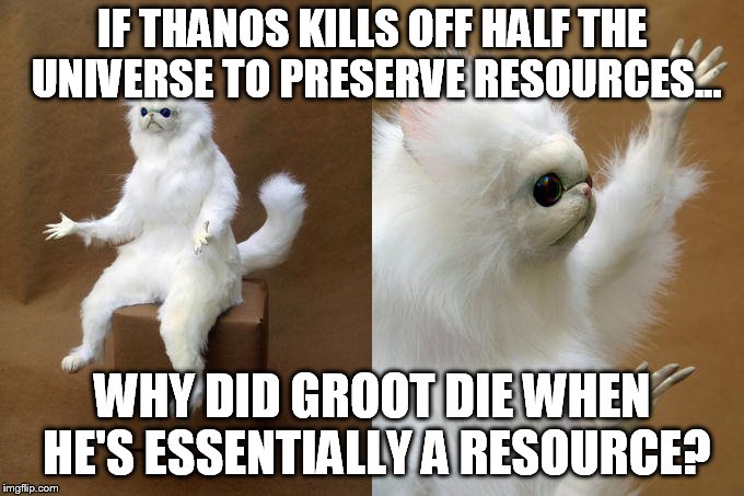 Persian Cat Room Guardian Meme | IF THANOS KILLS OFF HALF THE UNIVERSE TO PRESERVE RESOURCES... WHY DID GROOT DIE WHEN HE'S ESSENTIALLY A RESOURCE? | image tagged in memes,persian cat room guardian | made w/ Imgflip meme maker