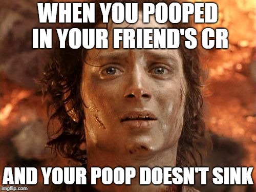 It's Finally Over Meme | WHEN YOU POOPED IN YOUR FRIEND'S CR; AND YOUR POOP DOESN'T SINK | image tagged in memes,its finally over | made w/ Imgflip meme maker