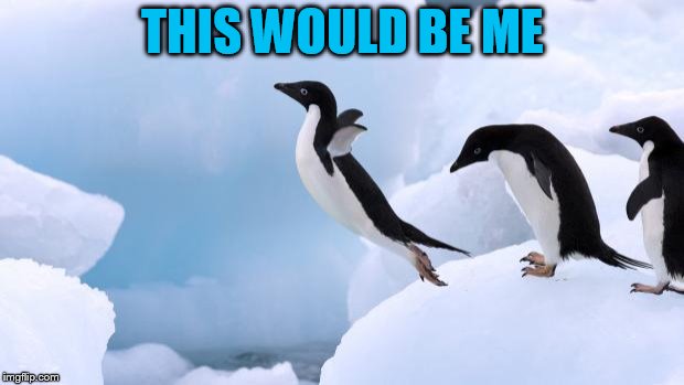 flying penguin | THIS WOULD BE ME | image tagged in flying penguin | made w/ Imgflip meme maker