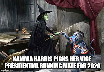 wizard of oz flying monkey witch | KAMALA HARRIS PICKS HER VICE PRESIDENTIAL RUNNING MATE FOR 2020 | image tagged in wizard of oz flying monkey witch | made w/ Imgflip meme maker