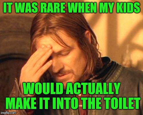 Frustrated Boromir | IT WAS RARE WHEN MY KIDS WOULD ACTUALLY MAKE IT INTO THE TOILET | image tagged in frustrated boromir | made w/ Imgflip meme maker