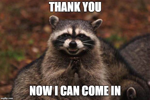evil genius racoon | THANK YOU NOW I CAN COME IN | image tagged in evil genius racoon | made w/ Imgflip meme maker