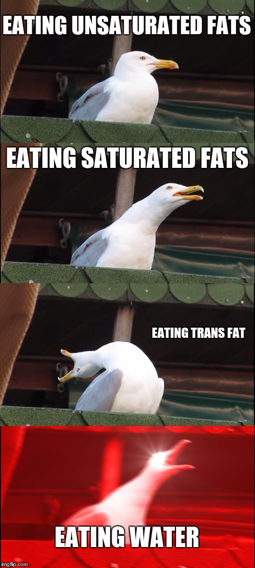Inhaling Seagull Meme | EATING UNSATURATED FATS; EATING SATURATED FATS; EATING TRANS FAT; EATING WATER | image tagged in memes,inhaling seagull | made w/ Imgflip meme maker