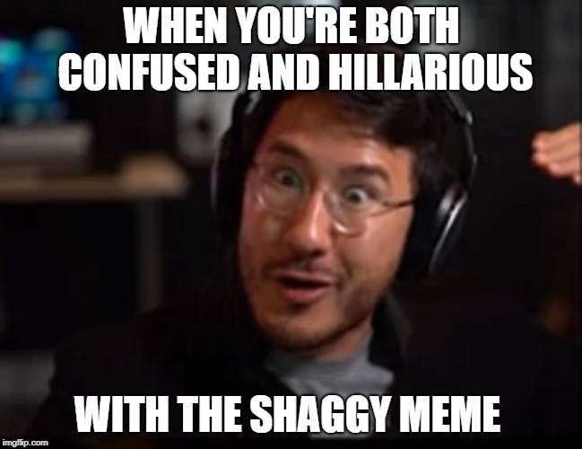 WHEN YOU'RE BOTH CONFUSED AND HILLARIOUS; WITH THE SHAGGY MEME | image tagged in markiplier,shaggy meme,scooby doo shaggy,shaggy,ultra instinct,dragon ball z | made w/ Imgflip meme maker