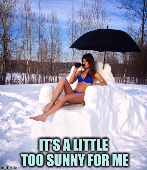 Sun bathing | IT'S A LITTLE TOO SUNNY FOR ME | image tagged in sun bathing | made w/ Imgflip meme maker