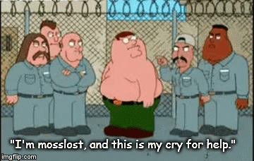 "I'm mosslost, and this is my cry for help." | image tagged in gifs | made w/ Imgflip video-to-gif maker