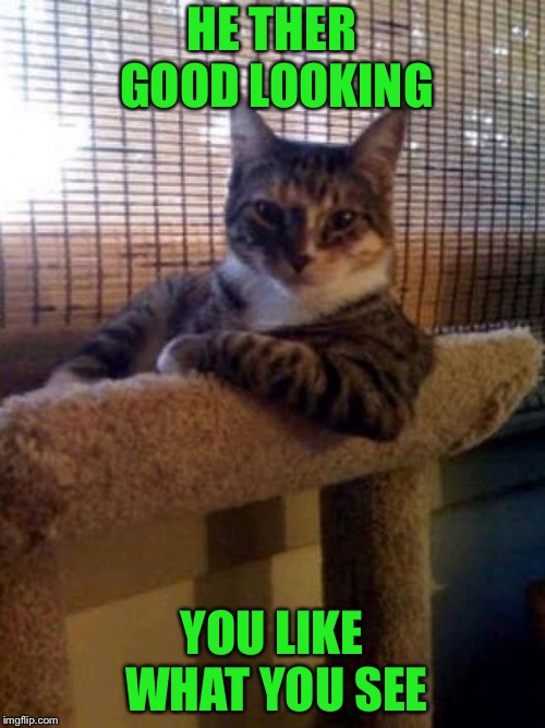 The Most Interesting Cat In The World | HE THER GOOD LOOKING; YOU LIKE WHAT YOU SEE | image tagged in memes,the most interesting cat in the world | made w/ Imgflip meme maker