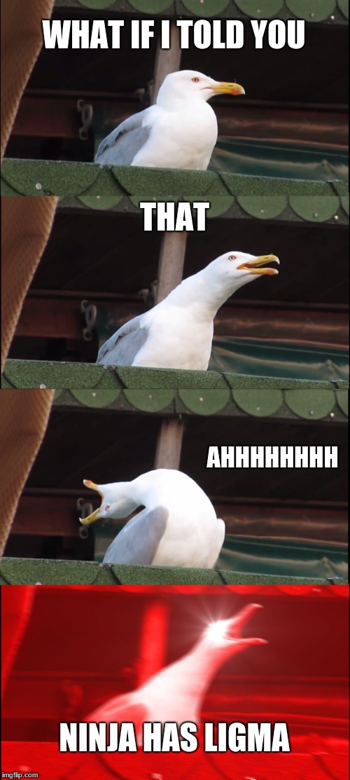 Inhaling Seagull Meme | WHAT IF I TOLD YOU; THAT; AHHHHHHHH; NINJA HAS LIGMA | image tagged in memes,inhaling seagull | made w/ Imgflip meme maker