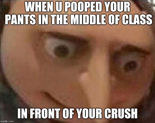 gru meme | WHEN U POOPED YOUR PANTS IN THE MIDDLE OF CLASS; IN FRONT OF YOUR CRUSH | image tagged in gru meme | made w/ Imgflip meme maker