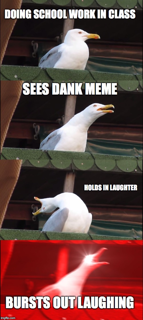 Inhaling Seagull Meme | DOING SCHOOL WORK IN CLASS; SEES DANK MEME; HOLDS IN LAUGHTER; BURSTS OUT LAUGHING | image tagged in memes,inhaling seagull | made w/ Imgflip meme maker