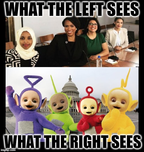 WHAT THE LEFT SEES; WHAT THE RIGHT SEES | image tagged in congress,alexandria ocasio-cortez,teletubbies,maga | made w/ Imgflip meme maker