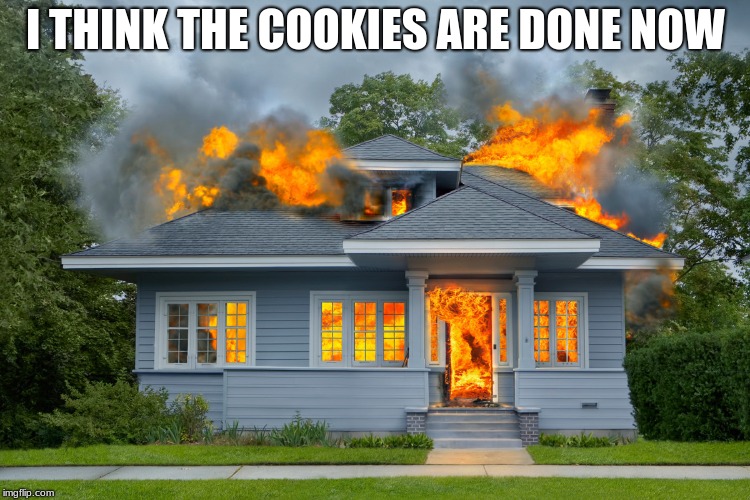 house on fire |  I THINK THE COOKIES ARE DONE NOW | image tagged in house on fire | made w/ Imgflip meme maker