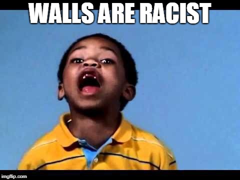 That's racist 2 | WALLS ARE RACIST | image tagged in that's racist 2 | made w/ Imgflip meme maker