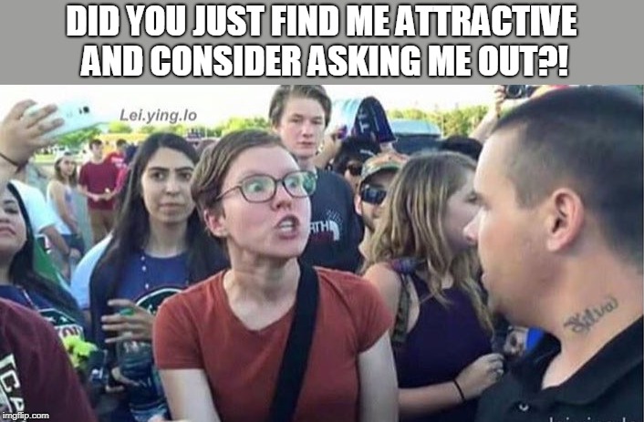 Did you just assume my gender | DID YOU JUST FIND ME ATTRACTIVE AND CONSIDER ASKING ME OUT?! | image tagged in did you just assume my gender | made w/ Imgflip meme maker