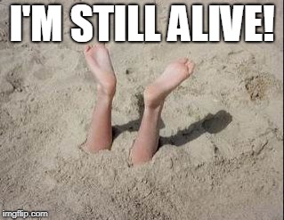 buried alive | I'M STILL ALIVE! | image tagged in buried alive | made w/ Imgflip meme maker