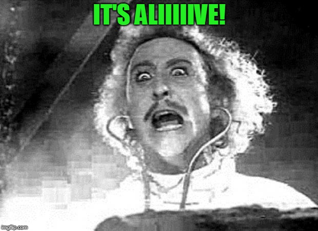 Dr. Frankenstein | IT'S ALIIIIIVE! | image tagged in dr frankenstein | made w/ Imgflip meme maker