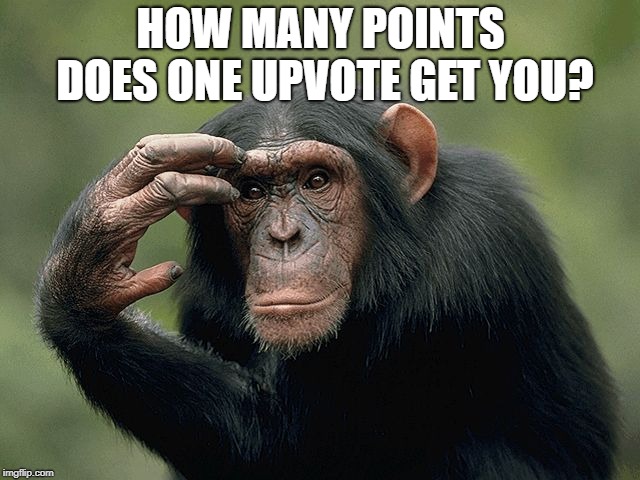 Just Wondering | HOW MANY POINTS DOES ONE UPVOTE GET YOU? | image tagged in thinking monkey,memes,points | made w/ Imgflip meme maker