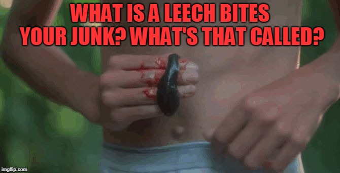 Stand By Me Leech  | WHAT IS A LEECH BITES YOUR JUNK? WHAT'S THAT CALLED? | image tagged in stand by me leech | made w/ Imgflip meme maker