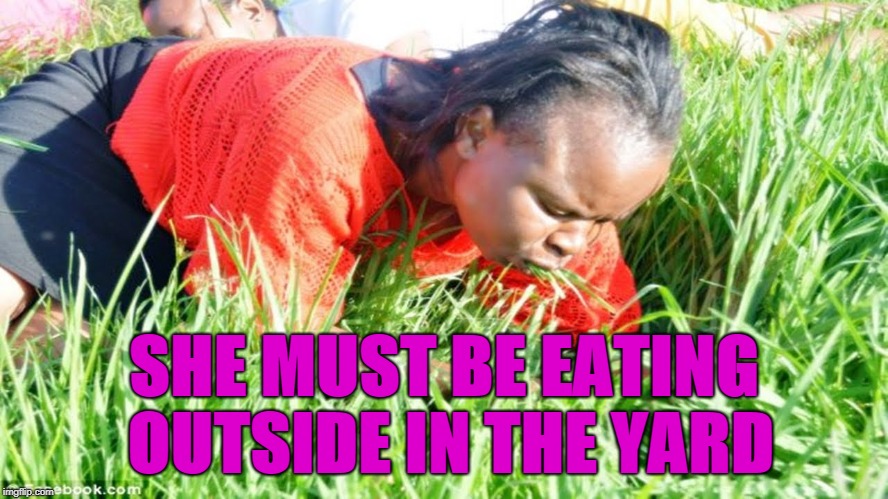 eating grass | SHE MUST BE EATING OUTSIDE IN THE YARD | image tagged in eating grass | made w/ Imgflip meme maker