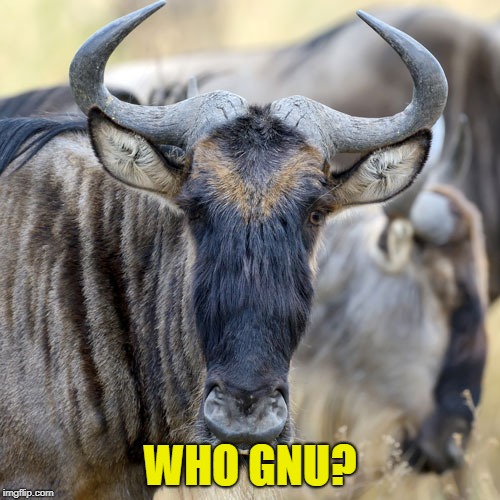 Who Gnu? | WHO GNU? | image tagged in reaction,who,who knew | made w/ Imgflip meme maker