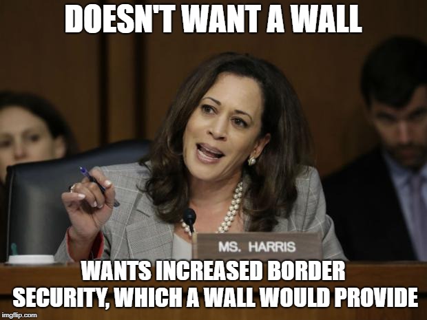 Kamala Harris | DOESN'T WANT A WALL; WANTS INCREASED BORDER SECURITY, WHICH A WALL WOULD PROVIDE | image tagged in kamala harris | made w/ Imgflip meme maker