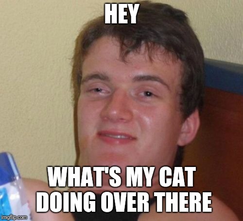 10 Guy Meme | HEY WHAT'S MY CAT DOING OVER THERE | image tagged in memes,10 guy | made w/ Imgflip meme maker