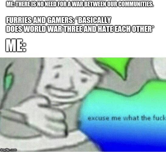 Excuse me wtf blank template | ME: THERE IS NO NEED FOR A WAR BETWEEN OUR COMMUNITIES. FURRIES AND GAMERS: *BASICALLY DOES WORLD WAR THREE AND HATE EACH OTHER*; ME: | image tagged in excuse me wtf blank template | made w/ Imgflip meme maker