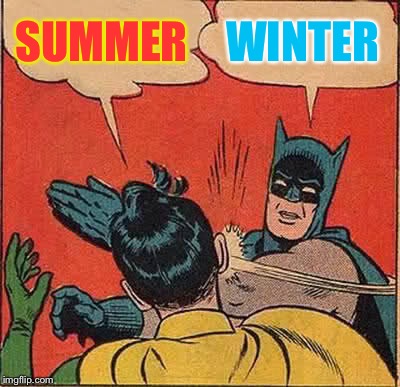 Batman Slapping Robin | SUMMER; WINTER | image tagged in memes,batman slapping robin,winter,summer | made w/ Imgflip meme maker