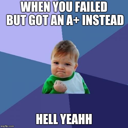Success Kid Meme | WHEN YOU FAILED BUT GOT AN A+ INSTEAD; HELL YEAHH | image tagged in memes,success kid | made w/ Imgflip meme maker