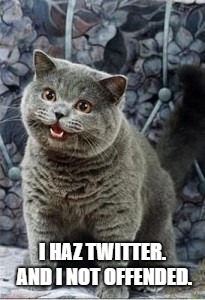 Can I haz cheeseburger | I HAZ TWITTER. AND I NOT OFFENDED. | image tagged in can i haz cheeseburger | made w/ Imgflip meme maker