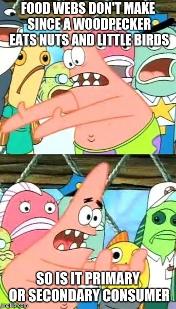 Put It Somewhere Else Patrick Meme | FOOD WEBS DON'T MAKE SINCE A WOODPECKER EATS NUTS AND LITTLE BIRDS; SO IS IT PRIMARY OR SECONDARY CONSUMER | image tagged in memes,put it somewhere else patrick | made w/ Imgflip meme maker