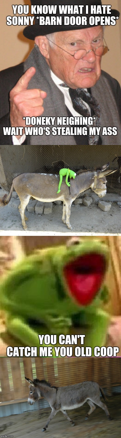 I felt bored so... | YOU KNOW WHAT I HATE SONNY *BARN DOOR OPENS*; *DONEKY NEIGHING* WAIT WHO'S STEALING MY ASS; YOU CAN'T CATCH ME YOU OLD COOP | image tagged in memes,back in my day,kermit the frog,stealing an ass | made w/ Imgflip meme maker