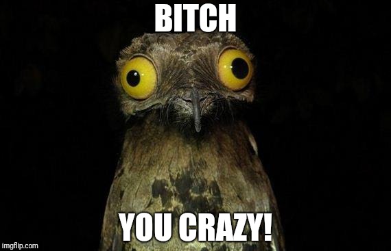 Weird Stuff I Do Potoo Meme | B**CH YOU CRAZY! | image tagged in memes,weird stuff i do potoo | made w/ Imgflip meme maker