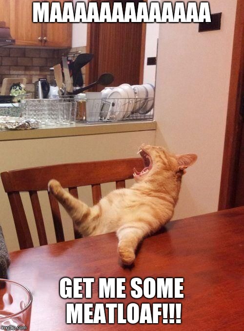 Ma the meatloaf cat | MAAAAAAAAAAAAA; GET ME SOME MEATLOAF!!! | image tagged in ma the meatloaf cat | made w/ Imgflip meme maker