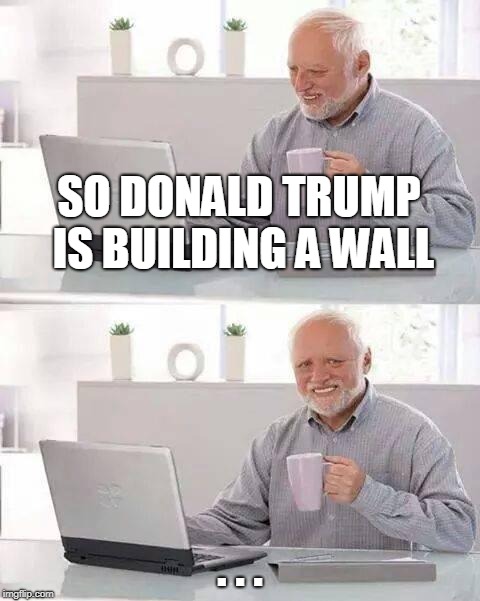 Donald Trump Sucks | SO DONALD TRUMP IS BUILDING A WALL; . . . | image tagged in memes,hide the pain harold,funny,donald trump sucks,lol | made w/ Imgflip meme maker
