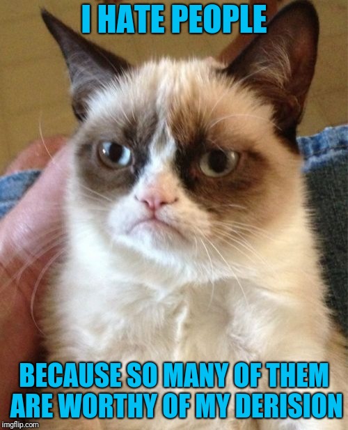 I don't want to hate people | I HATE PEOPLE; BECAUSE SO MANY OF THEM ARE WORTHY OF MY DERISION | image tagged in memes,grumpy cat | made w/ Imgflip meme maker